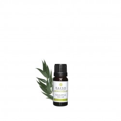 Aceite esencial Eucalipto 10ml