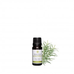 Aceite árbol de té 10 ml.