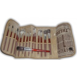 17 brushes case